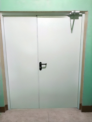 Пожаростойкая дверь с доводчиком